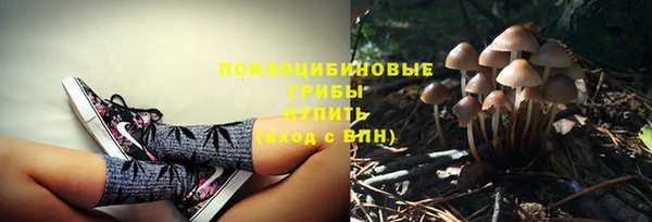 mdpv Аркадак